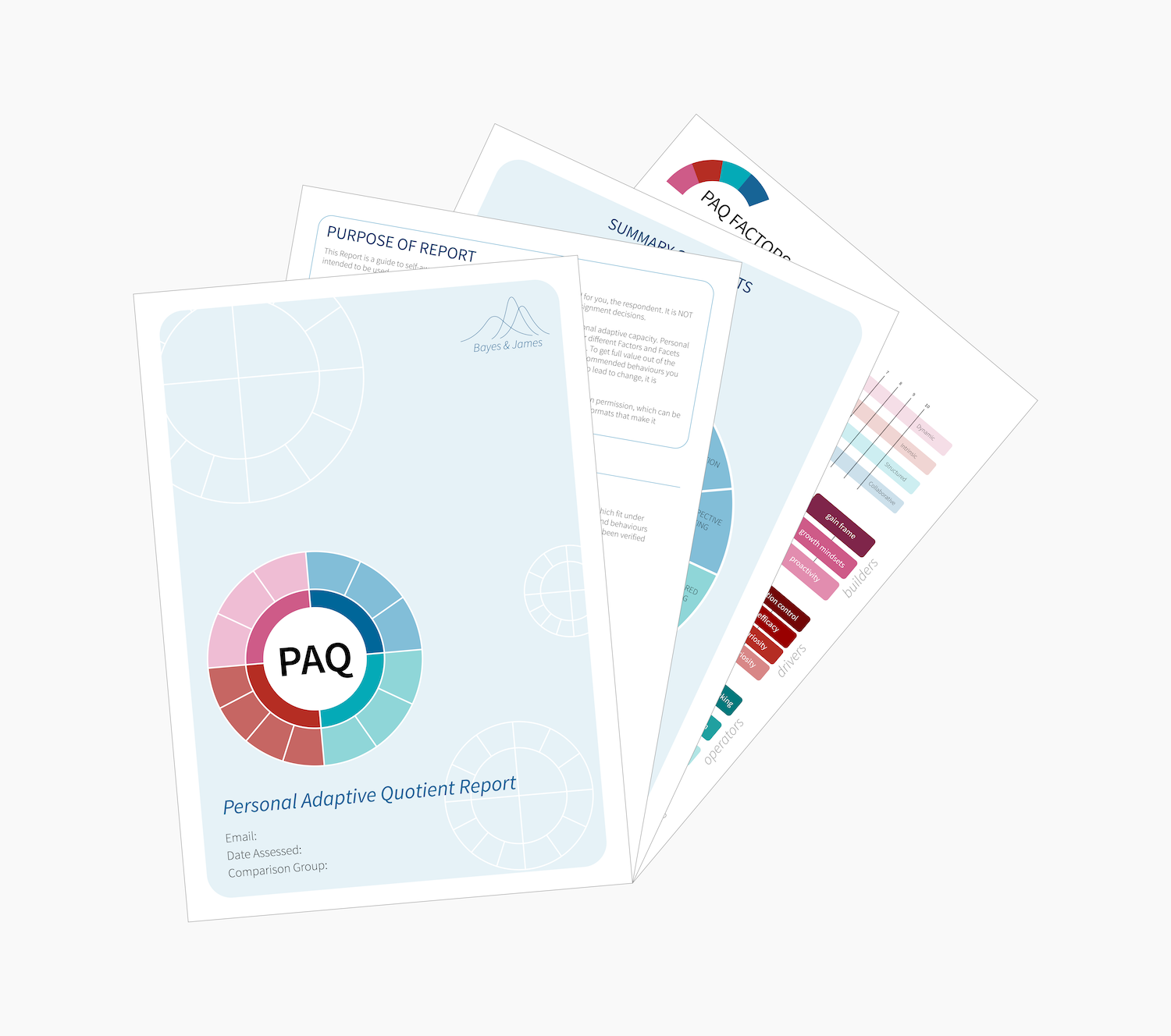 PAQ Report Pages